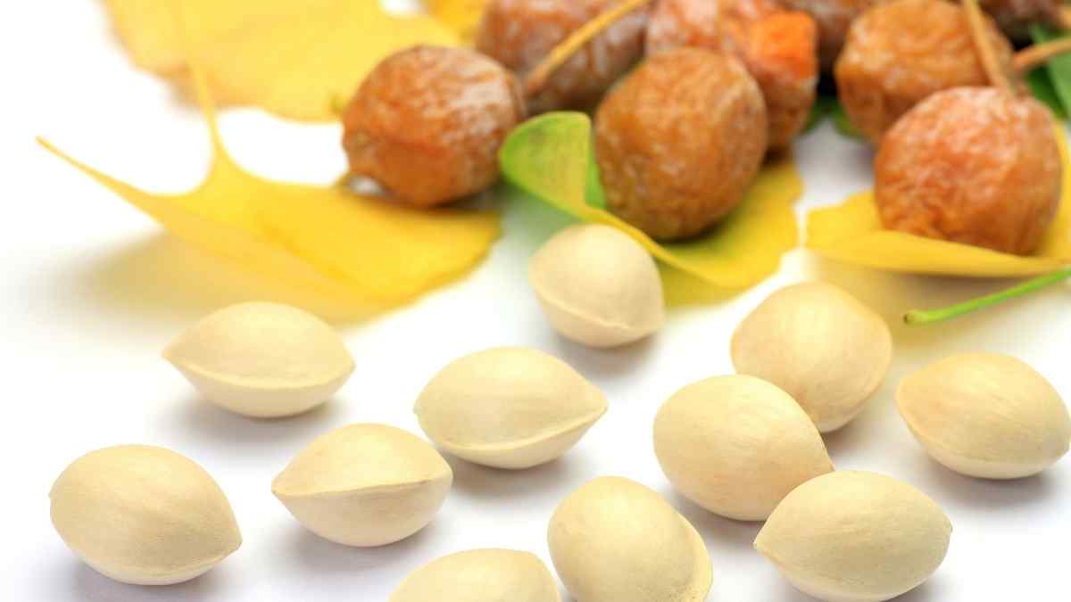 Chega de estresse! Descubra como o ginkgo biloba ajuda a diminuir